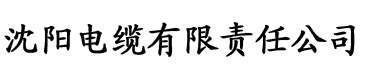 亚洲中文精品久久久久久电缆厂logo